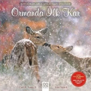 ORMANDA İLK KAR - 1001 ÇİÇEK