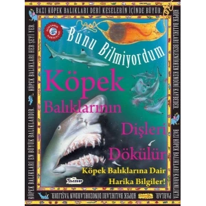 BUNU BİLMİYORDUM KÖPEK BALIKLARININ DİŞLERİ DÖKÜLÜ