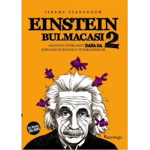 EİNSTEİN BULMACASI 2 - DOMİNGO