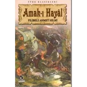 AMAKI HAYAL - ANONİM