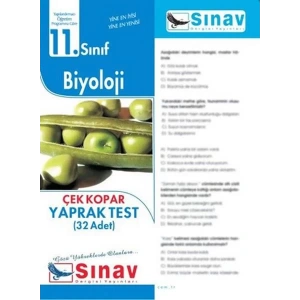 SINAV 11.SINIF BİYOLOJİ YAPRAK TEST