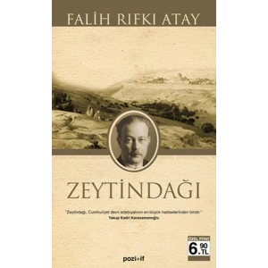 ZEYTİNDAĞI CEP - POZİTİF