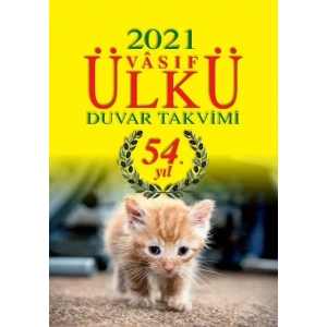 ÜLKÜ DUVAR TAKVİMİ 2021 (İADESİZ)
