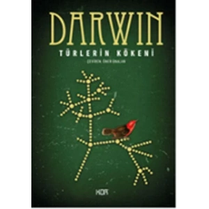 TÜRLERİN KÖKENİ - KOR