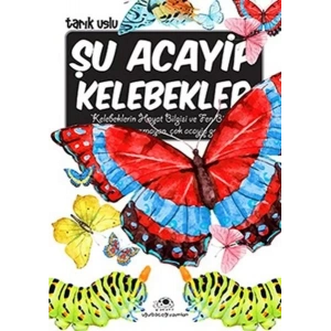 ŞU ACAYİP KELEBEKLER - UĞURBÖCEĞİ
