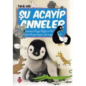 ŞU ACAYİP ANNELER - UĞURBÖCEĞİ