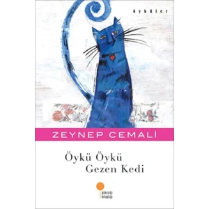 ÖYKÜ ÖYKÜ GEZEN KEDİ - GÜNIŞIĞI