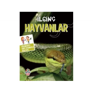 İLGİNÇ HAYVANLAR - YAĞMUR