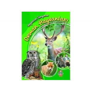 HAYVANLARI TANIYORUM ORMAN HAYVANLARI - YAĞMUR