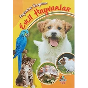 HAYVANLARI TANIYORUM EVCİL HAYVANLAR - YAĞMUR