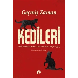 GEÇMİŞ ZAMAN KEDİLERİ-TURKUVAZ