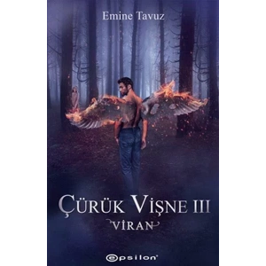 ÇÜRÜK VİŞNE 3 VİRAN - EPSİLON