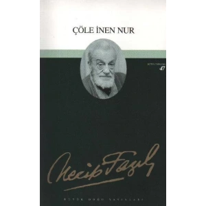 ÇÖLE İNEN NUR - BÜYÜKDOĞU