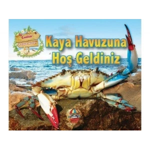 CANLILAR VE YAŞAM ALANLARI KAYA HAVUZUNA HOŞGELDİN