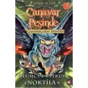 CANAVAR PEŞİNDE 55 ÖLÜMCÜL BAYKUŞ NOKTİLLA