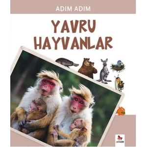 Adım Adım Yavru Hayvanlar