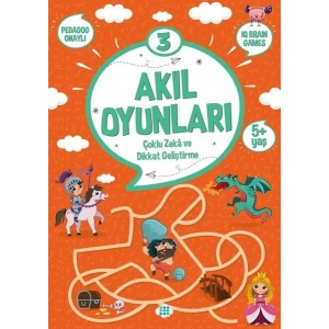 AKIL OYUNLARI 3 - DOKUZ YAYINLARI