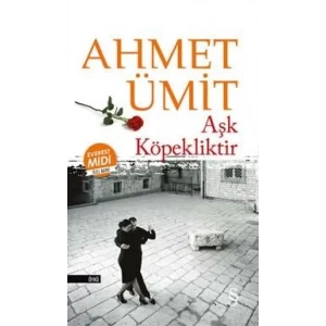 AŞK KÖPEKLİKTİR MİDİ BOY - EVEREST