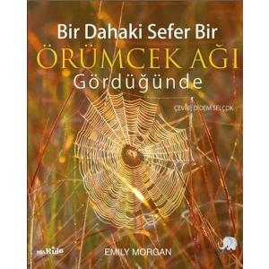 BİR DAHAKİ SEFER BİR ÖRÜMCEK AĞI GÖRDÜĞÜNDE - NOBEL