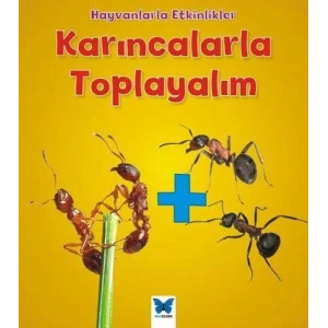 Hayvanlarla Etkinlikler - Karıncalarla Toplayalım