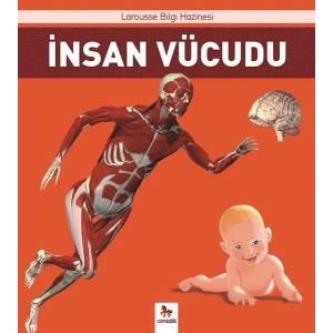 İnsan Vücudu