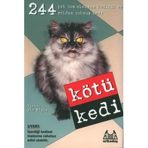 Kötü Kedi