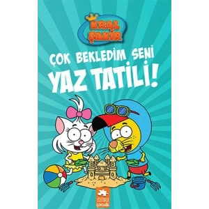 KRAL ŞAKİR 11 ÇOK BEKLEDİM SENİ YAZ TATİLİ - EKSİK PARÇA