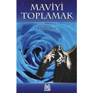 Maviyi Toplamak