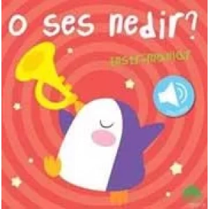 O SES NEDİR? / ENSTRÜMANLAR (SESLİ KİTAP)