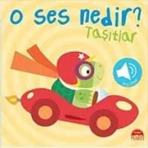 O SES NEDİR? / TAŞITLAR (SESLİ KİTAP)