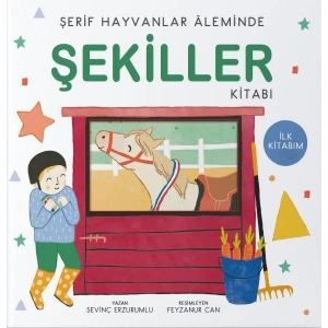 ŞEKİLLER KİTABI - UÇAN KİTAP