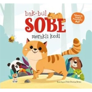 BAK BUL SOBE MERAKLI KEDİ - SİNCAP