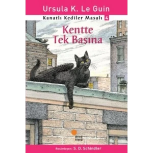 KANATLI KEDİLER 4 KENTTE TEK BAŞINA - GÜNIŞIĞI