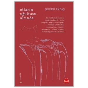 OTLARIN UĞULTUSU ALTINDA - KIRMIZI KEDİ