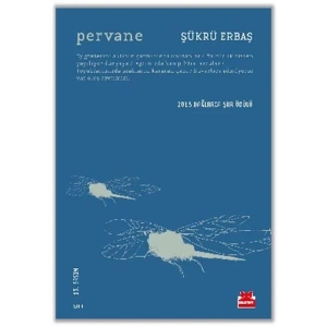 PERVANE - KIRMIZI KEDİ