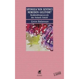 SPINOZANIN SEVİNCİ - AYRINTI