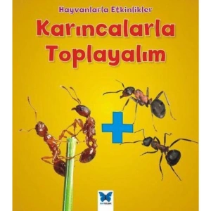 Hayvanlarla Etkinlikler - Karıncalarla Toplayalım