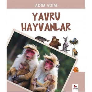 Adım Adım Yavru Hayvanlar
