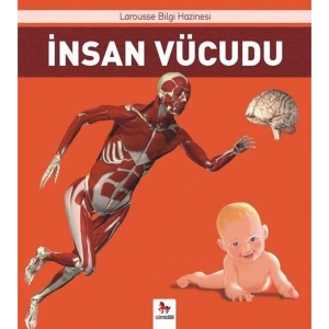 İnsan Vücudu