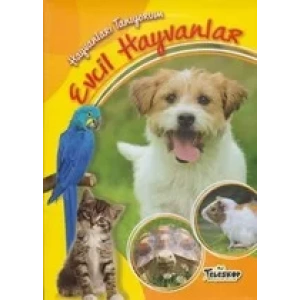 HAYVANLARI TANIYORUM EVCİL HAYVANLAR
