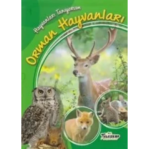 HAYVANLARI TANIYORUM ORMAN HAYVANLAR