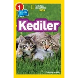 Kediler - NATIONAL KİDS