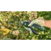 Bosch EasyPrune Şarjlı Budama Makası