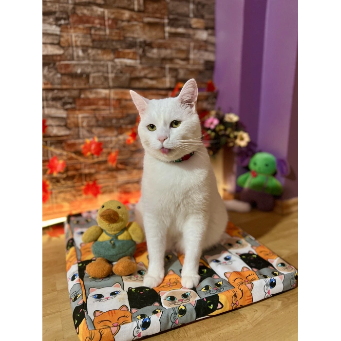 Evcil Hayvan Kedi Köpek Isıtıcı Yatak 45x50cm