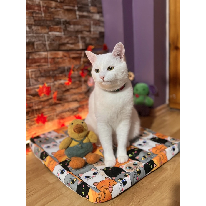 Evcil Hayvan Kedi Köpek Isıtıcı Yatak Ped 45x50cm