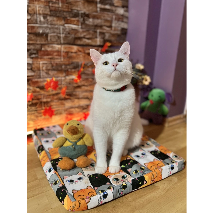 Evcil Hayvan Yatağı Isıtıcılı Yatak