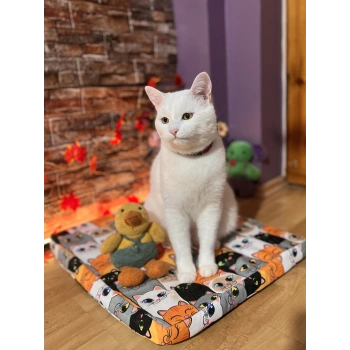 Evcil Hayvan Kedi Köpek Isıtıcı Yatak Ped 45x50cm