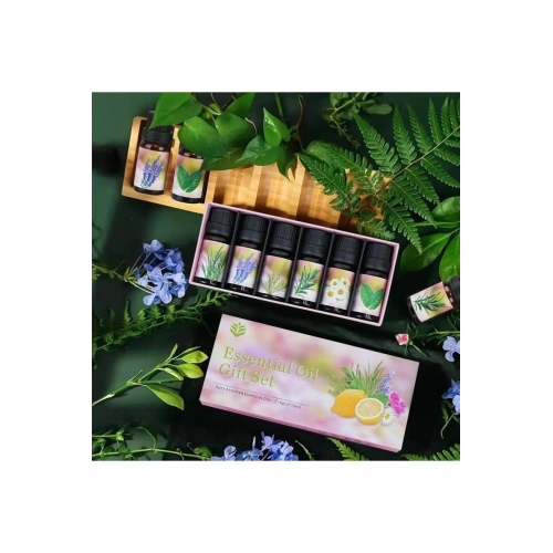 6lı Ekonomi karışık SET Esansiyel Uçucu Yağı Buhardanlık Difüzör Esansı Oda Kokusu