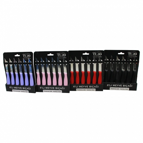 6 PARÇA  MEYVE BIÇAK RENKLİ PLASTİK SAPLI (5365)