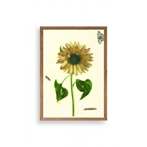 Ayçiçeği Ahşap Çerçeveli Tablo 17 x 23